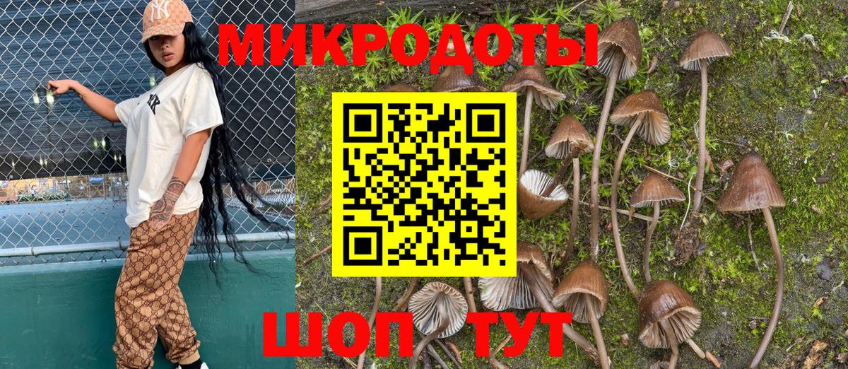 Псилоцибиновые грибы Psilocybine cubensis Валуйки